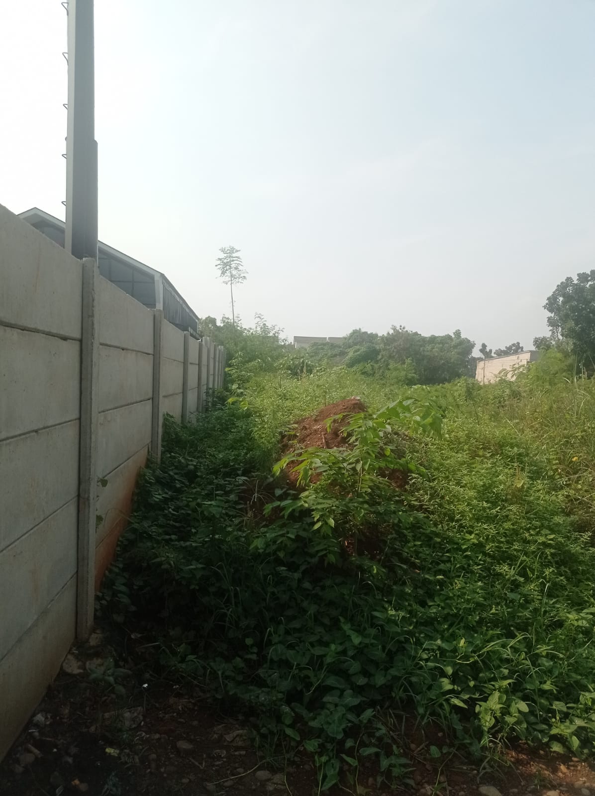 Di Sewakan Tanah di Cikarang Utara Bekasi